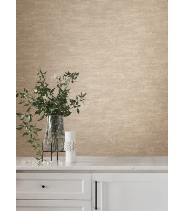 SI25753 - Weathered Stucco Wheat Wallpaper-Signature Textures 3