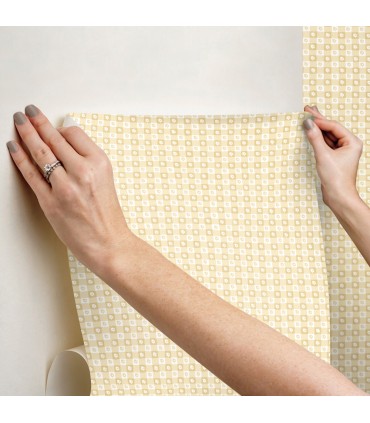 PSW1692RL - Daisy Gingham Yellow Floral Check Wallpaper by Rifle Paper Co.