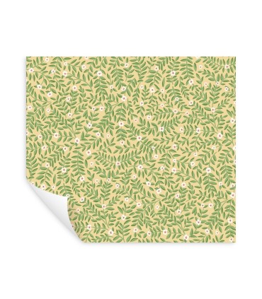 PSW1671RL - Elodie Gold Petite Floral Wallpaper by Rifle Paper Co.