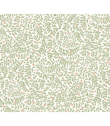 PSW1673RL - Elodie Cream Petite Floral Wallpaper by Rifle Paper Co.