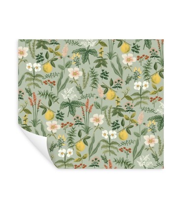 PSW1675RL - Herb Garden Sage Botanical Wallpaper by Rifle Paper Co.