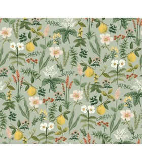 PSW1675RL - Herb Garden Sage Botanical Wallpaper by Rifle Paper Co.