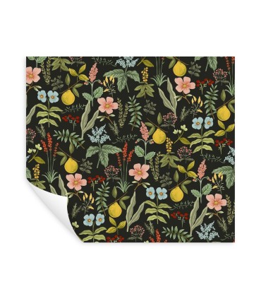 PSW1676RL - Herb Garden Black Botanical Wallpaper by Rifle Paper Co.