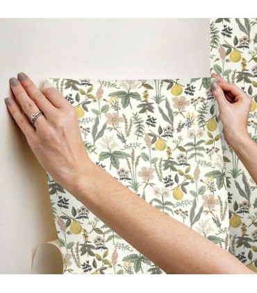PSW1678RL - Herb Garden Cream Botanical Wallpaper by Rifle Paper Co.