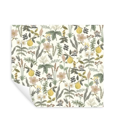 PSW1678RL - Herb Garden Cream Botanical Wallpaper by Rifle Paper Co.