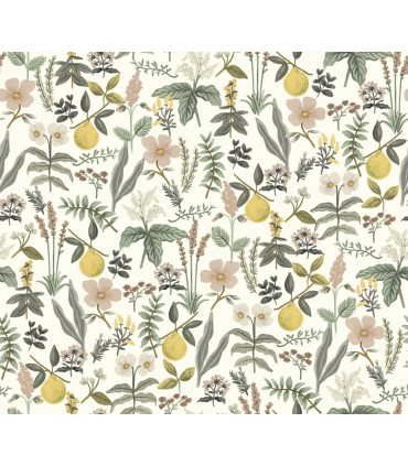 PSW1678RL - Herb Garden Cream Botanical Wallpaper by Rifle Paper Co.