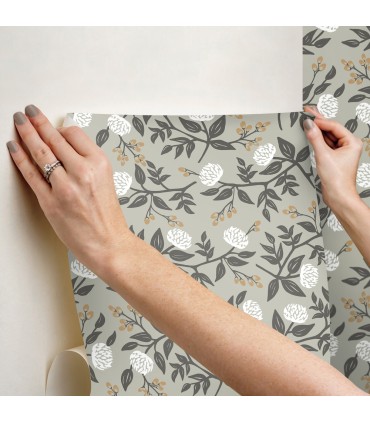 PSW1688RL - Peonies Grey Floral Wallpaper by Rifle Paper Co.