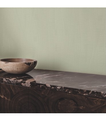 4207-5445 - Amir Light Green Embossed High Performance Wallpaper by Warner