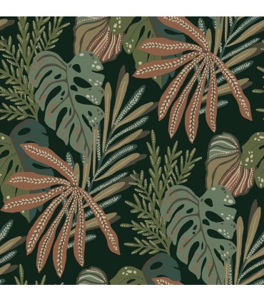 4177-27737 - Alocasia Multicolor Tropical Foliage Wallpaper-Drew and Jonathan