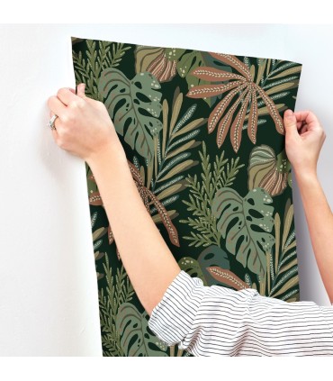 4177-27737 - Alocasia Multicolor Tropical Foliage Wallpaper-Drew and Jonathan