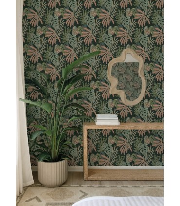 4177-27737 - Alocasia Multicolor Tropical Foliage Wallpaper-Drew and Jonathan
