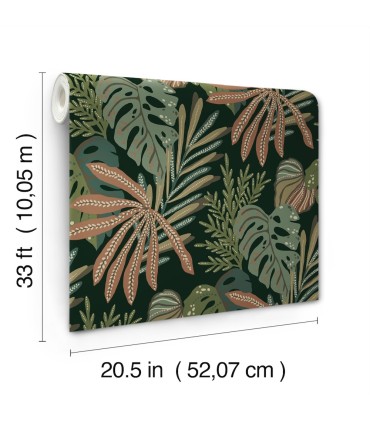 4177-27737 - Alocasia Multicolor Tropical Foliage Wallpaper-Drew and Jonathan