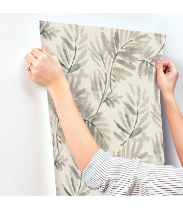 4177-27741 - Serenade Grey Ferns Wallpaper-Drew and Jonathan