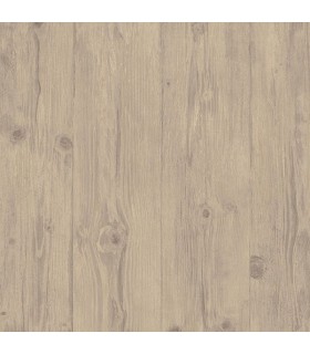 LL29503 -Texture Style