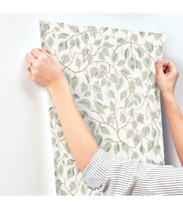 4201-20107 - Hangbjork Sage Vine Wallpaper-Savanna by A Street
