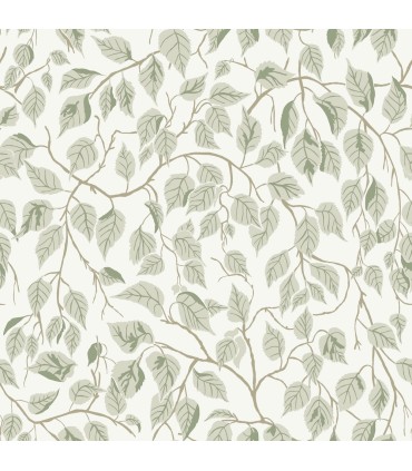 4201-20107 - Hangbjork Sage Vine Wallpaper-Savanna by A Street