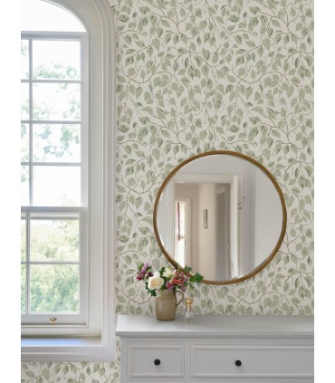 4201-20107 - Hangbjork Sage Vine Wallpaper-Savanna by A Street