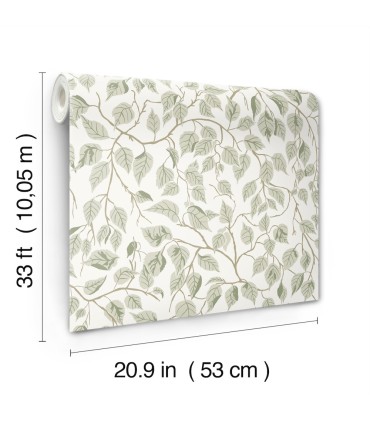 4201-20107 - Hangbjork Sage Vine Wallpaper-Savanna by A Street