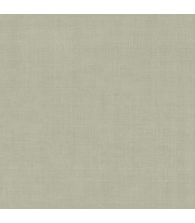 4201-16022 - Midolin Pewter Texture Wallpaper-Savanna by A Street
