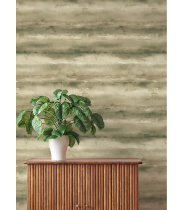 4202-481655 - Ayla Green Abstract Stripe Wallpaper-Springhill by A Street