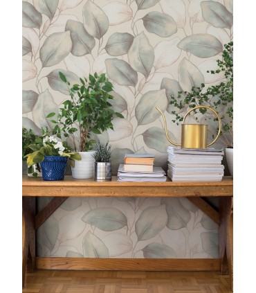4202-659863 - Evanthe Aqua Vine Wallpaper-Springhill by A Street