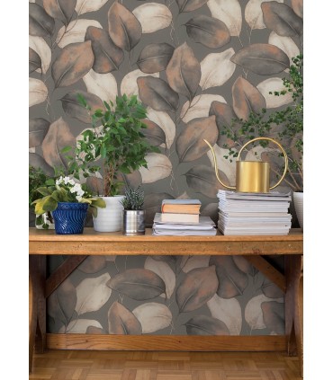 4202-659887 - Evanthe Charcoal Vine Wallpaper-Springhill by A Street