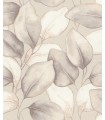 4202-659856 - Evanthe Grey Vine Wallpaper-Springhill by A Street