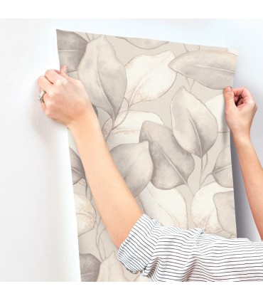 4202-659856 - Evanthe Grey Vine Wallpaper-Springhill by A Street