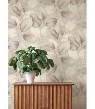 4202-659856 - Evanthe Grey Vine Wallpaper-Springhill by A Street