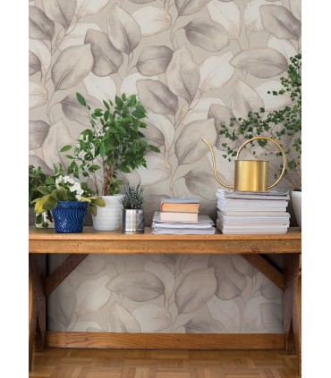 4202-659856 - Evanthe Grey Vine Wallpaper-Springhill by A Street