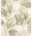 4202-659870 - Evanthe Sage Vine Wallpaper-Springhill by A Street