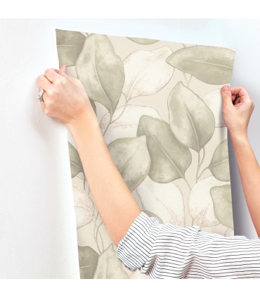 4202-659870 - Evanthe Sage Vine Wallpaper-Springhill by A Street