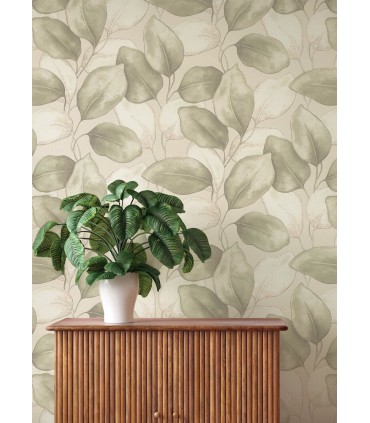 4202-659870 - Evanthe Sage Vine Wallpaper-Springhill by A Street