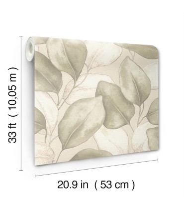 4202-659870 - Evanthe Sage Vine Wallpaper-Springhill by A Street