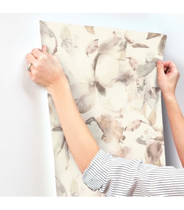 4202-481235 - Liliana Neutral Floral Wallpaper-Springhill by A Street