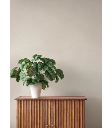 4202-484533 - Naim Beige Solid Texture Wallpaper-Springhill by A Street