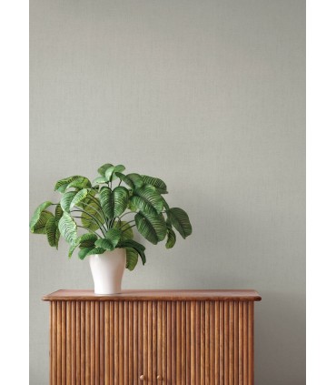 4202-484748 - Naim Grey Solid Texture Wallpaper-Springhill by A Street