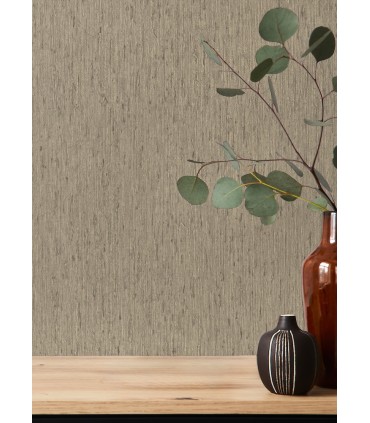 4202-571035 - Roison Dove Birch Bark Wallpaper-Springhill by A Street