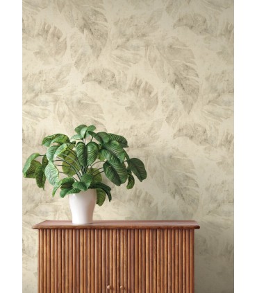 4202-416145 - Sanne Beige Palm Wallpaper-Springhill by A Street