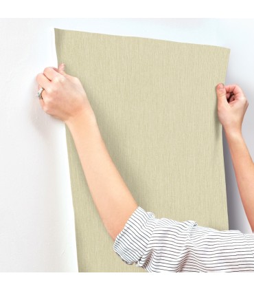 4191-83009 - Elijah Light Green Texture Wallpaper by Chesapeake