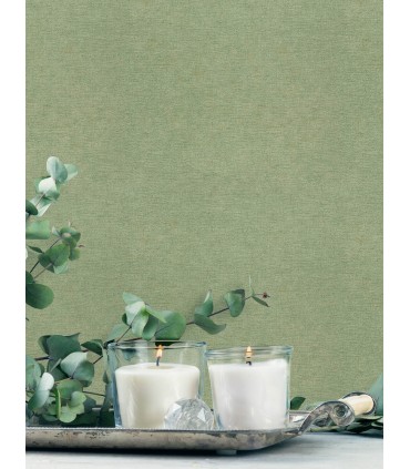 4191-83041 - Tansy Green Distressed Wallpaper by Chesapeake