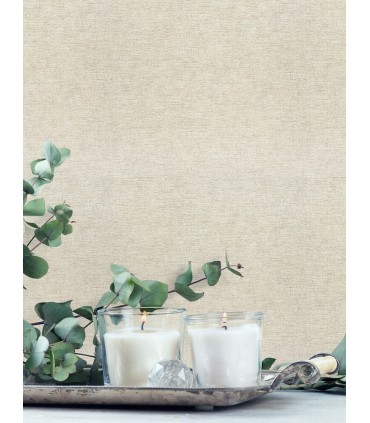 4191-83038 - Tansy Neutral Distressed Wallpaper by Chesapeake