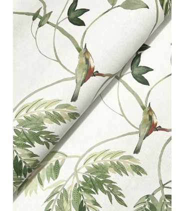LL3250 - Cillian Green Botanical Bird Trail Wallpaper-Layered Luxe