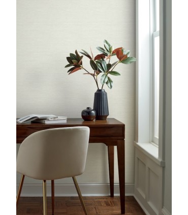 4169-24281 - Agave Light Grey Faux Grasscloth Wallpaper by Chesapeake