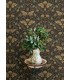 4169-83116 - Mystic Moth Black Forest Magic Wallpaper by Chesapeake