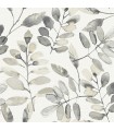 4169-13910 - Pinnate Charcoal Leaves Wallpaper by Chesapeake