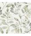 4169-13911 - Pinnate Green Leaves Wallpaper by Chesapeake
