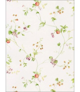 KC28534 - Fresh Kitchens 5 - Mini Fruit Trail