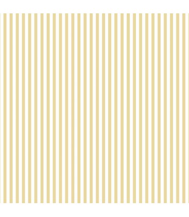 FK34411  - Fresh Kitchens 5 - Coffee Cups