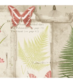 FK34416 - Fresh Kitchens 5 - Insects and Leaves Wallpaper